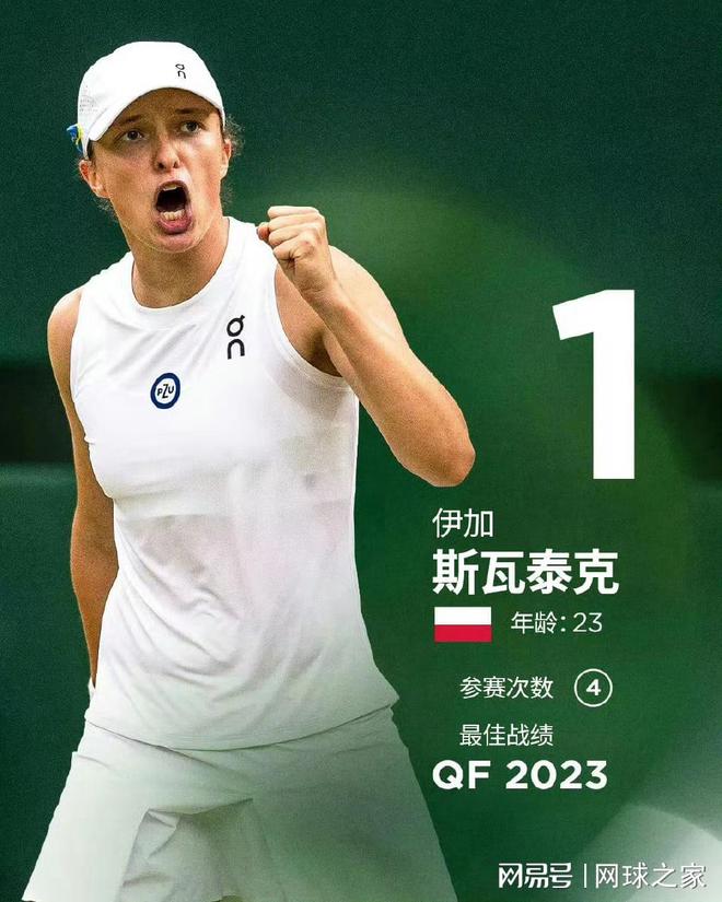 多样化的比 多样化的比