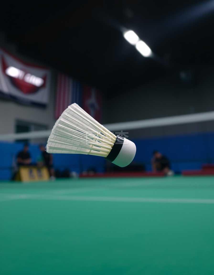 回忆初入巴 回忆初入巴