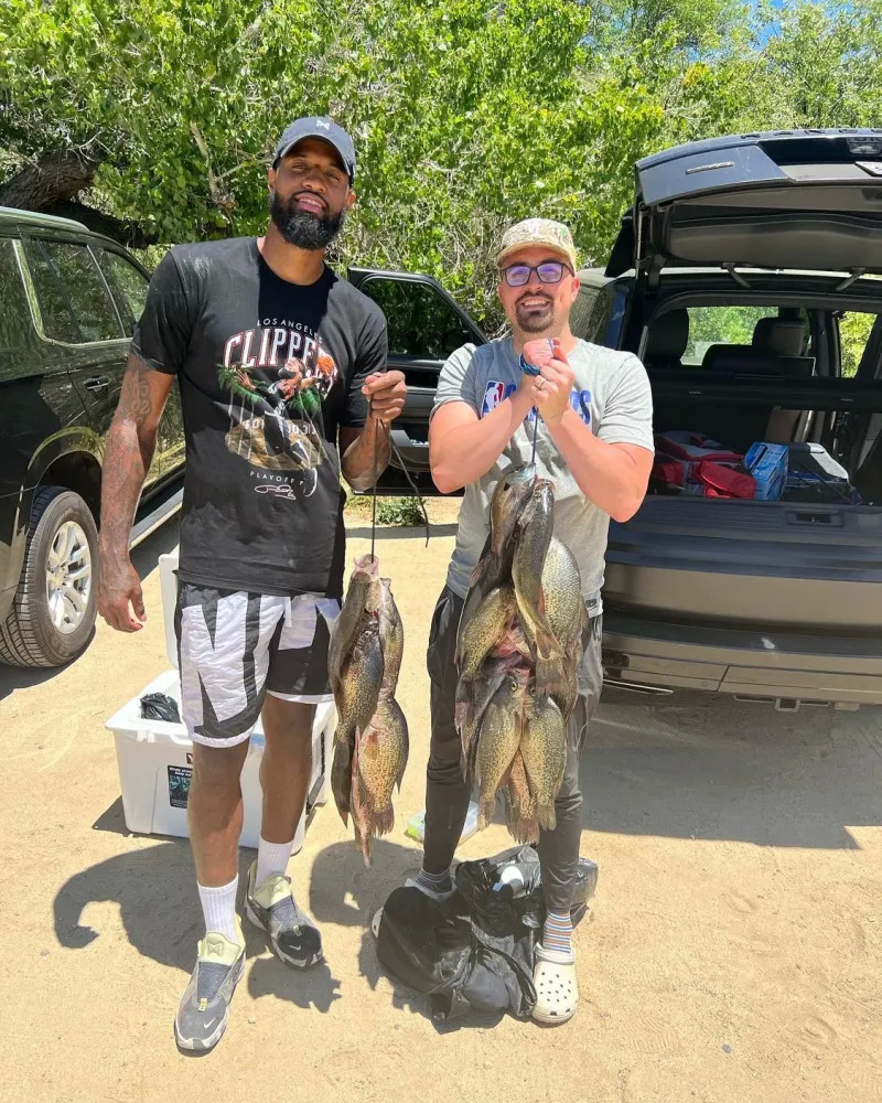 异常与易伤 异常与易伤